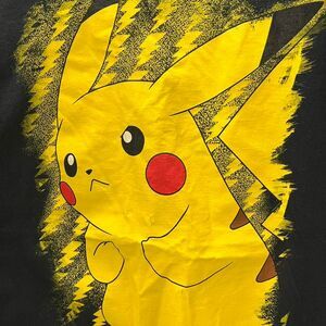 Pokemon Men's multi T-shirt
